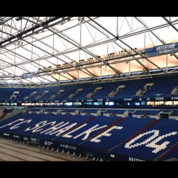 Büroausflug in die VELTINS-Arena